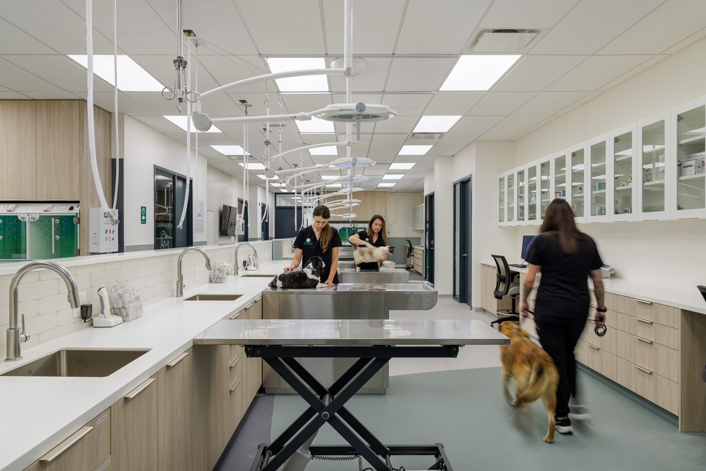 paramount-24-hour-animal-hospital-holland-interior-design
